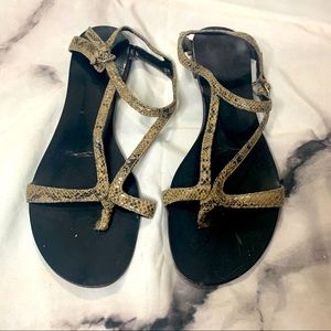 REPORT Renae snakeskin strappy flats size 6.5